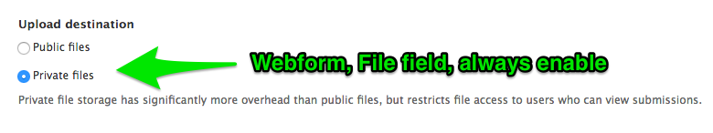 Webform, File field, file storage options